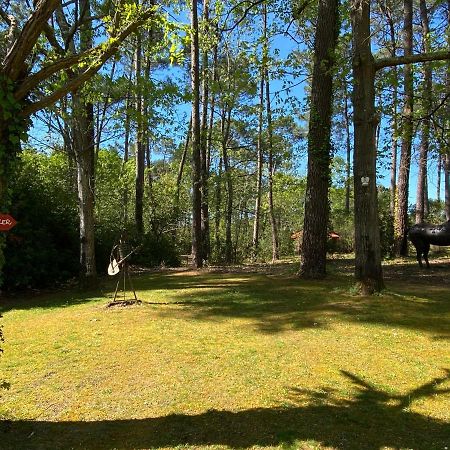 Le Petit Poulailler Au Beau Milieu Des Pins Lacanau Exterior foto
