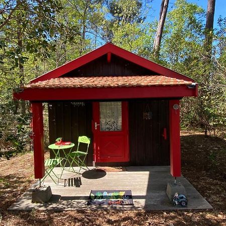 Le Petit Poulailler Au Beau Milieu Des Pins Lacanau Exterior foto