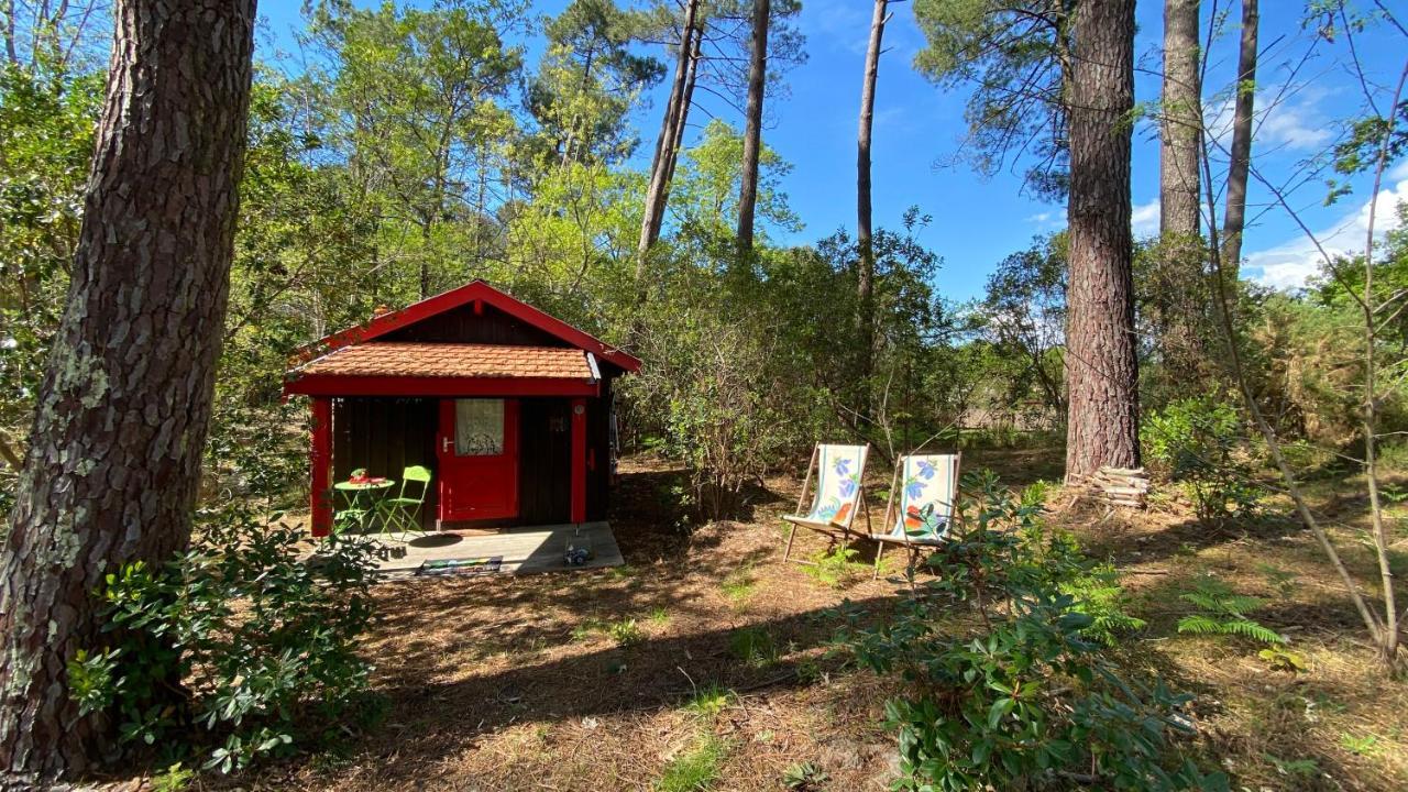 Le Petit Poulailler Au Beau Milieu Des Pins Lacanau Exterior foto