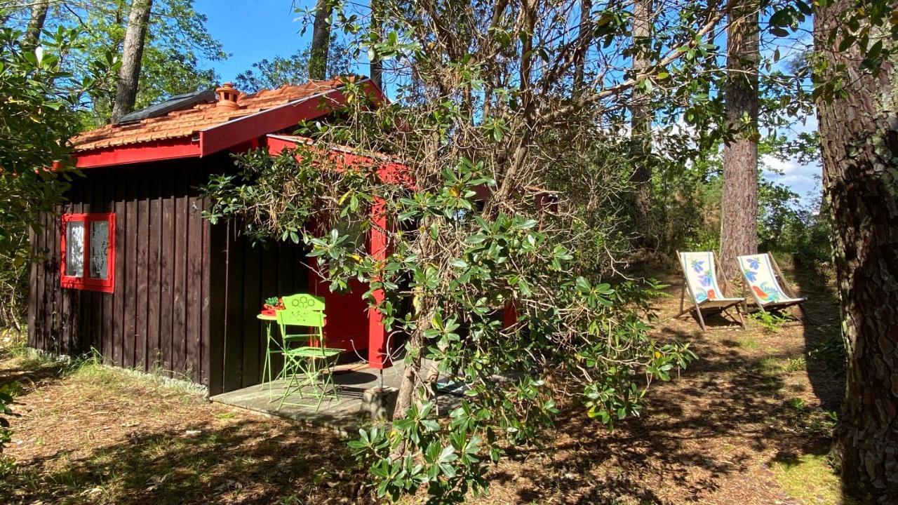Le Petit Poulailler Au Beau Milieu Des Pins Lacanau Exterior foto
