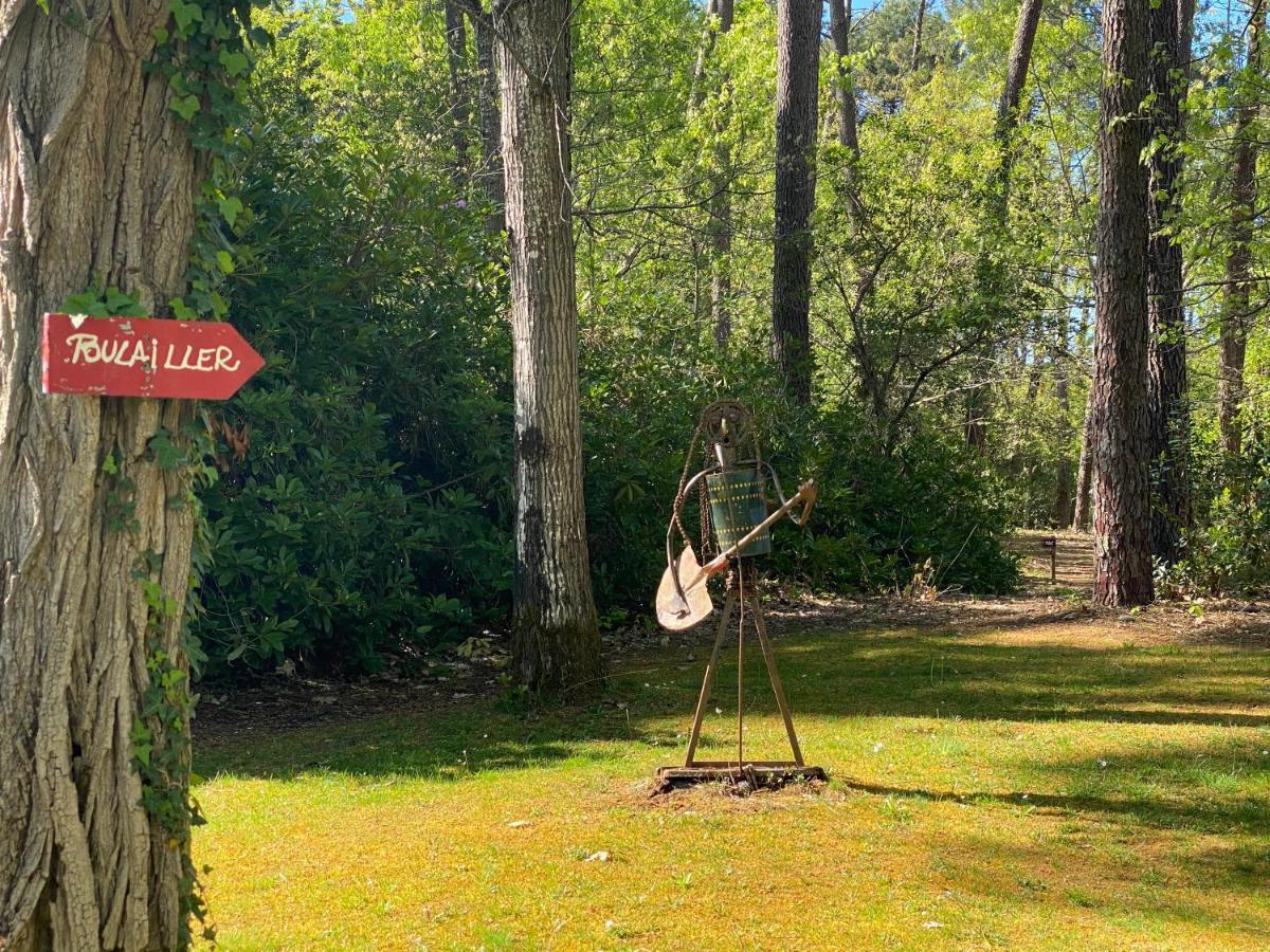 Le Petit Poulailler Au Beau Milieu Des Pins Lacanau Exterior foto
