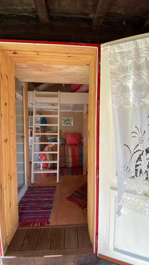 Le Petit Poulailler Au Beau Milieu Des Pins Lacanau Exterior foto