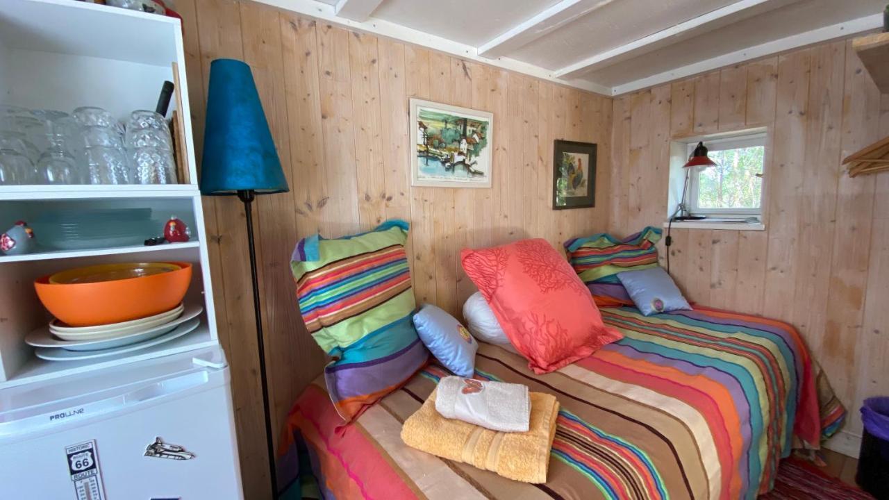 Le Petit Poulailler Au Beau Milieu Des Pins Lacanau Exterior foto