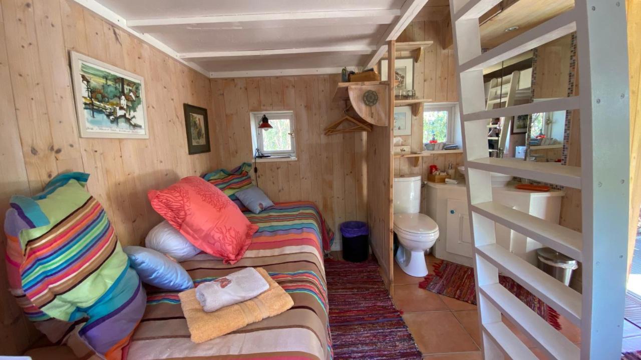Le Petit Poulailler Au Beau Milieu Des Pins Lacanau Exterior foto