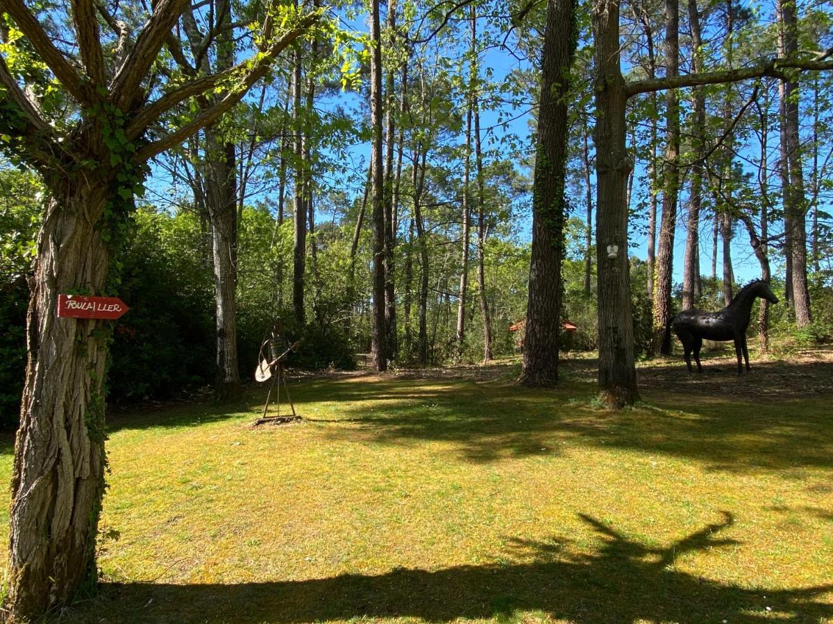 Le Petit Poulailler Au Beau Milieu Des Pins Lacanau Exterior foto