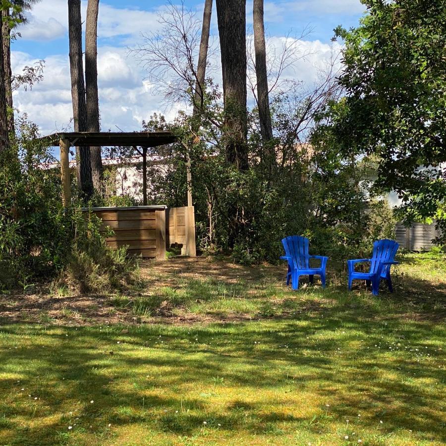 Le Petit Poulailler Au Beau Milieu Des Pins Lacanau Exterior foto