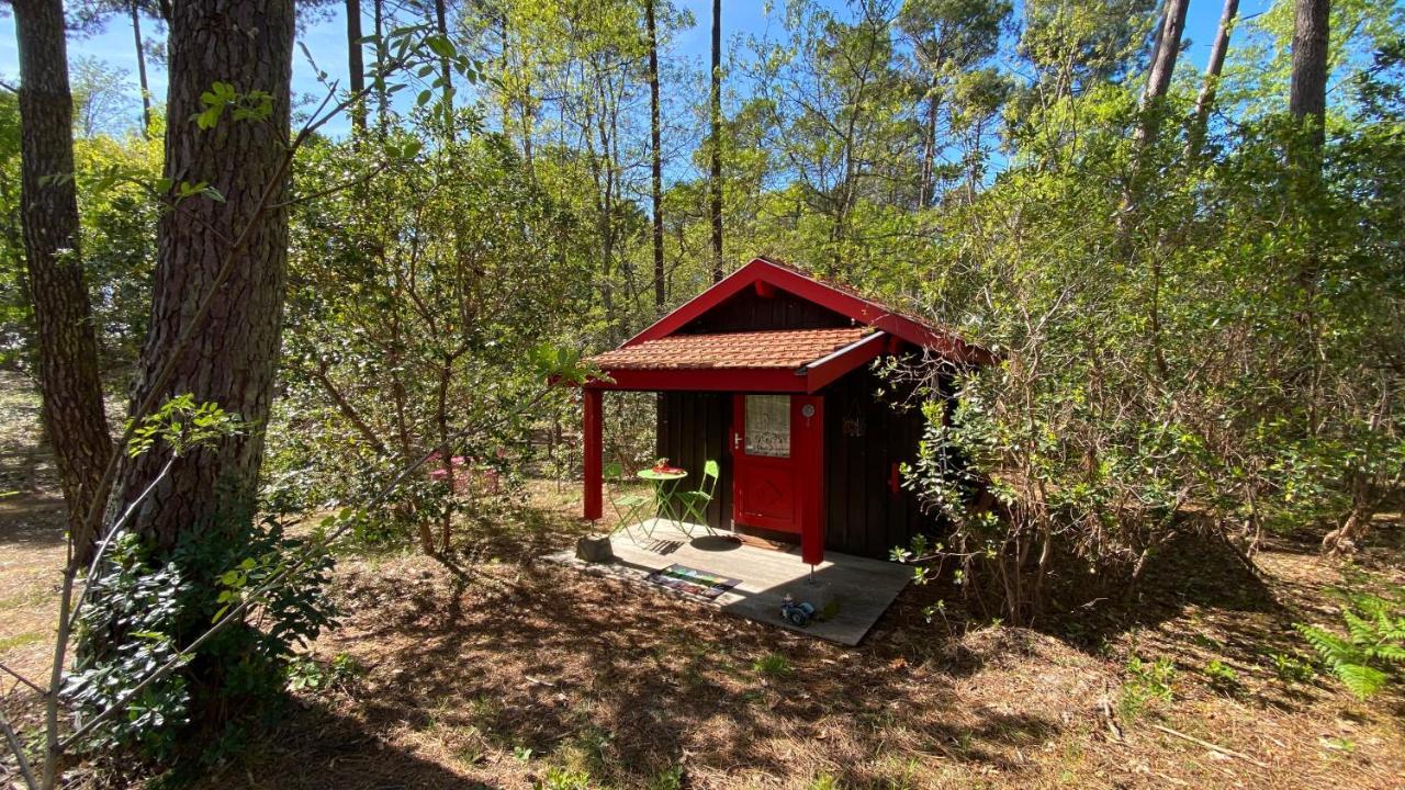 Le Petit Poulailler Au Beau Milieu Des Pins Lacanau Exterior foto