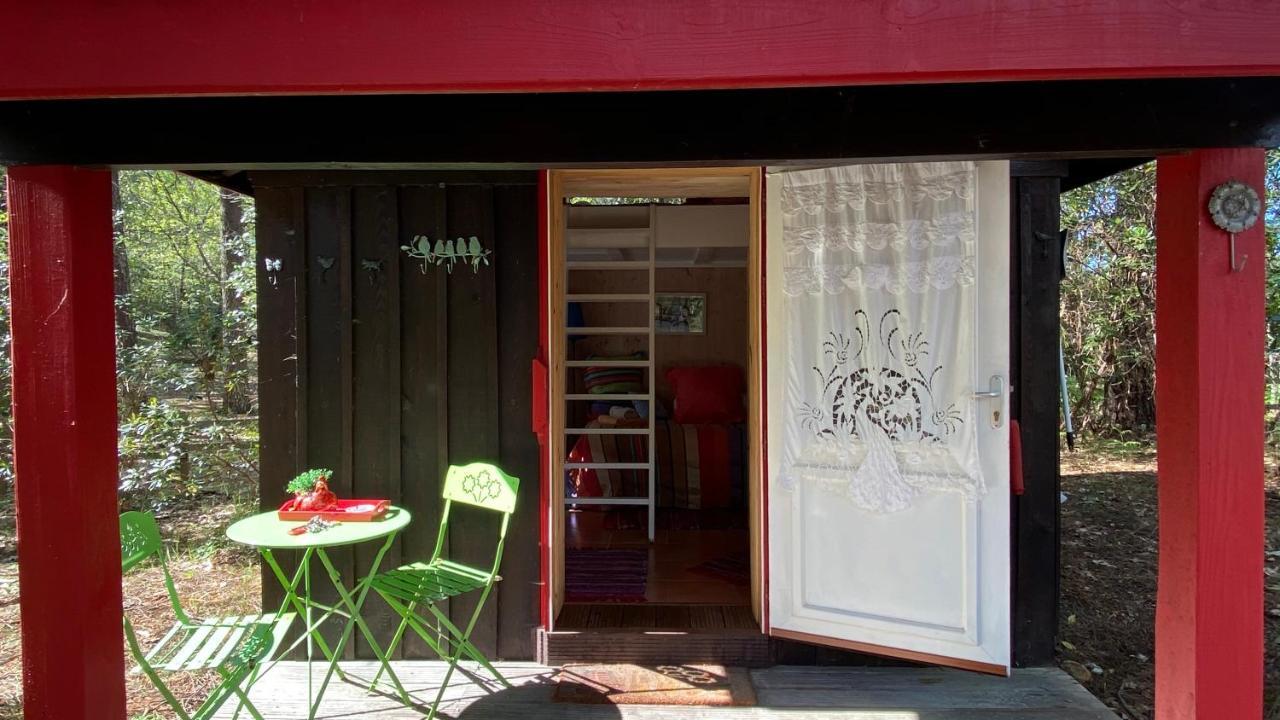 Le Petit Poulailler Au Beau Milieu Des Pins Lacanau Exterior foto
