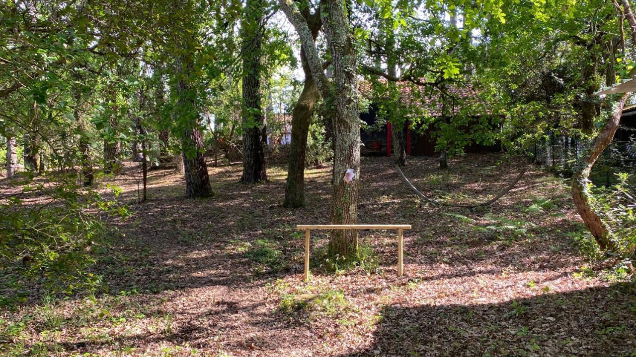 Le Petit Poulailler Au Beau Milieu Des Pins Lacanau Exterior foto