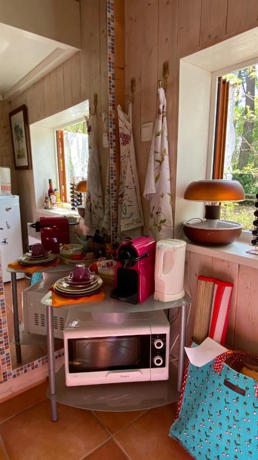 Le Petit Poulailler Au Beau Milieu Des Pins Lacanau Exterior foto