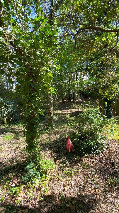 Le Petit Poulailler Au Beau Milieu Des Pins Lacanau Exterior foto