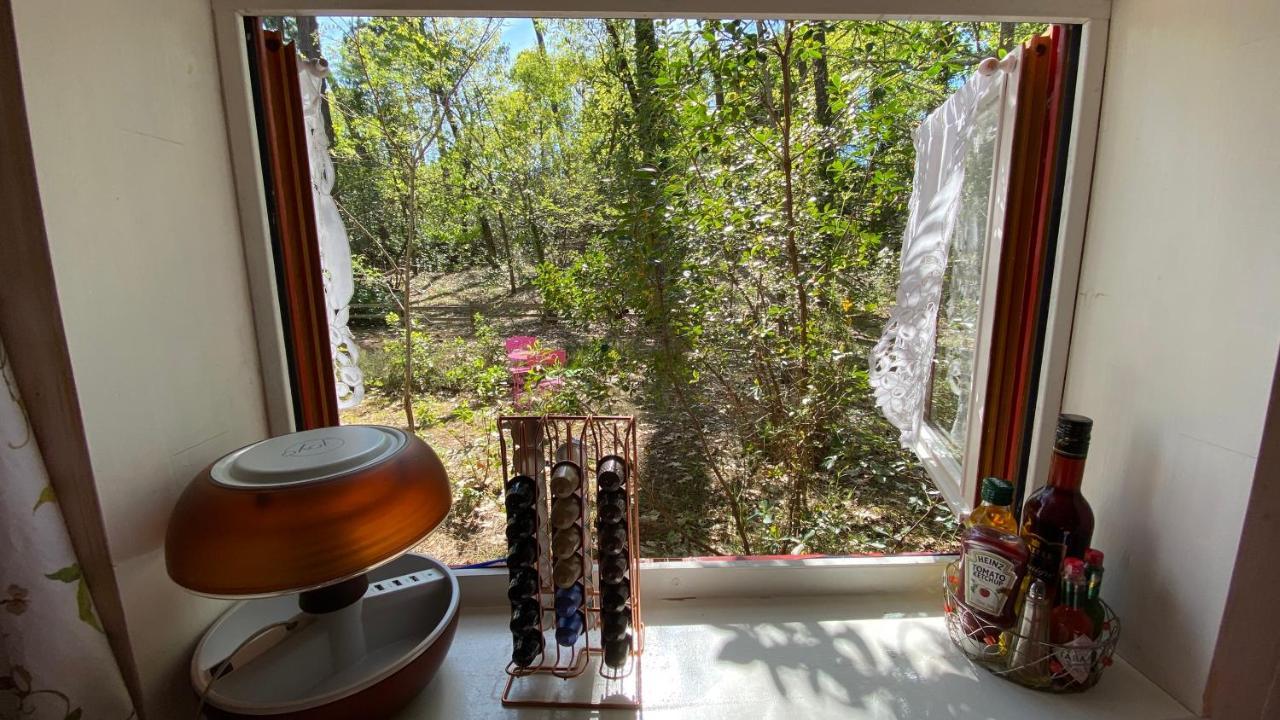 Le Petit Poulailler Au Beau Milieu Des Pins Lacanau Exterior foto
