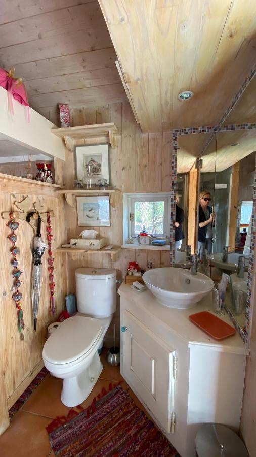 Le Petit Poulailler Au Beau Milieu Des Pins Lacanau Exterior foto