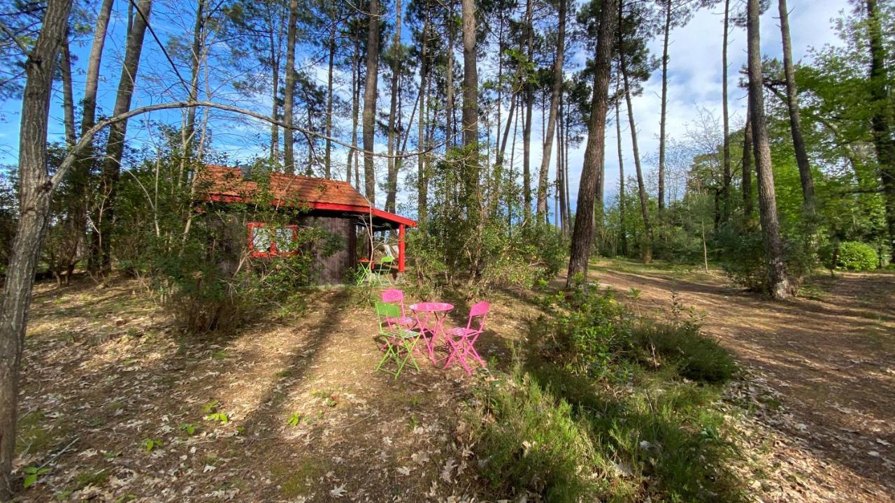 Le Petit Poulailler Au Beau Milieu Des Pins Lacanau Exterior foto