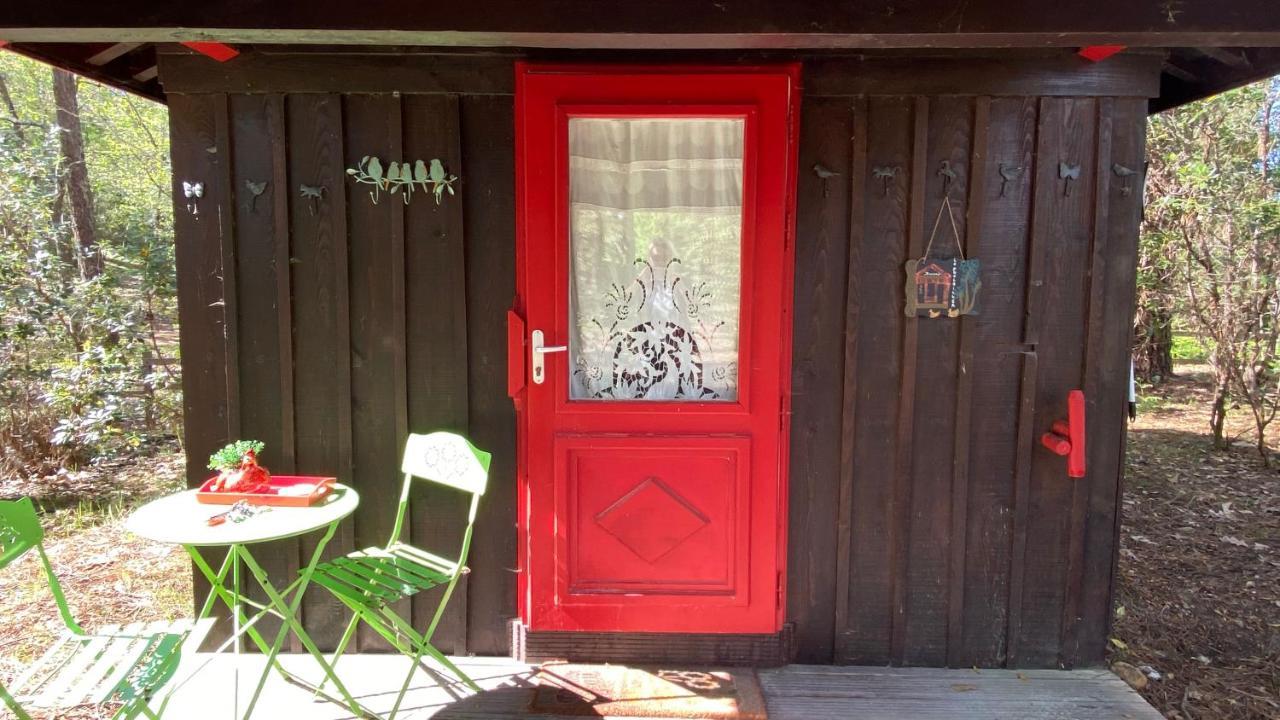 Le Petit Poulailler Au Beau Milieu Des Pins Lacanau Exterior foto