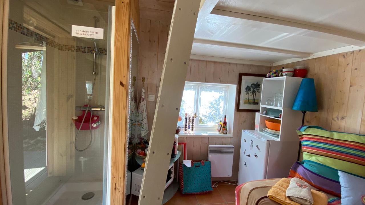 Le Petit Poulailler Au Beau Milieu Des Pins Lacanau Exterior foto