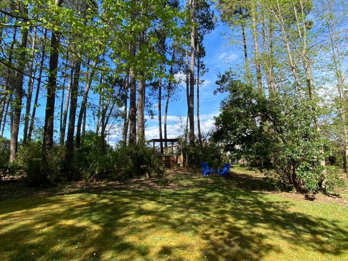 Le Petit Poulailler Au Beau Milieu Des Pins Lacanau Exterior foto